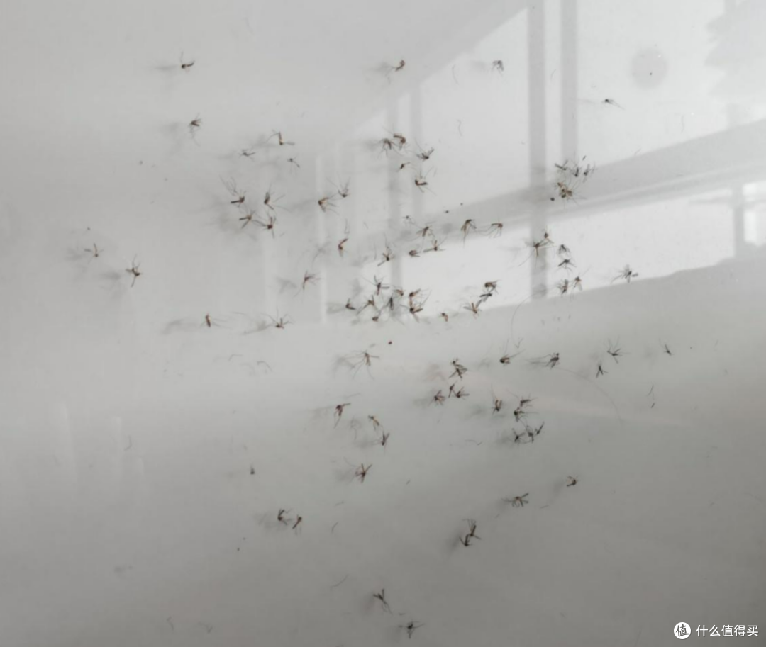 房间灭蚊灯哪个牌子好用?十款实力在线的灭蚊灯品牌盘点