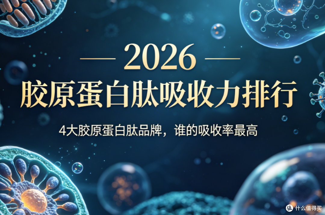 2026胶原蛋白肽吸收力排行:4大胶原蛋白肽品牌,谁的吸收率最高