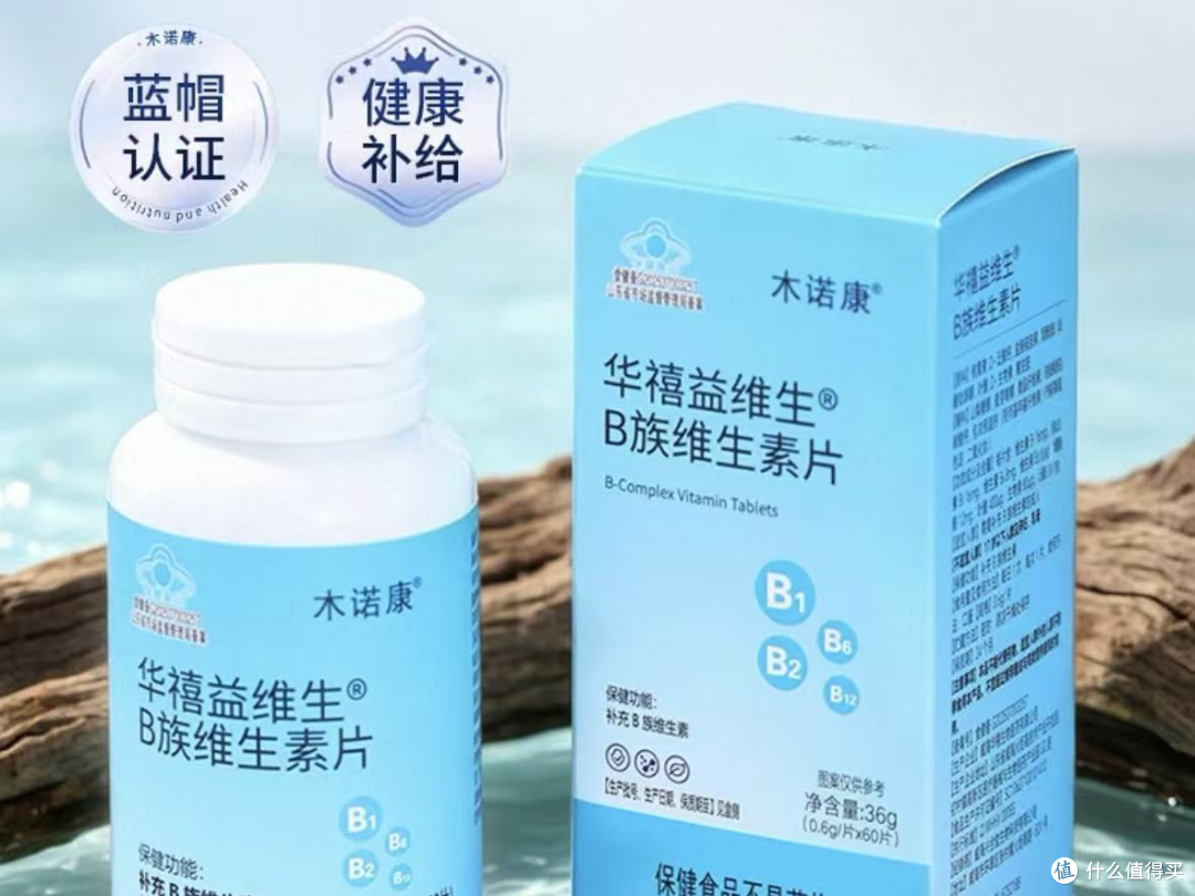 2026年十大蓝帽认证维生素B族品牌汇总:品控与安全性深度测评