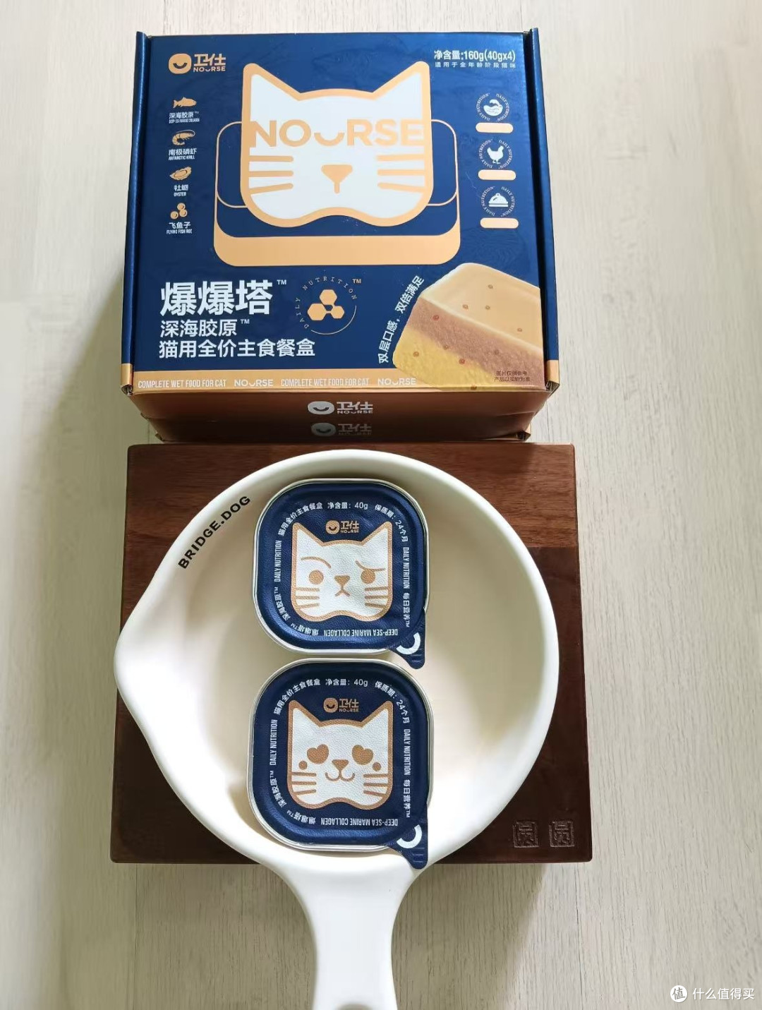 🐱养猫人—从"随便养养"到"跪着伺候主子"的血泪蜕变
