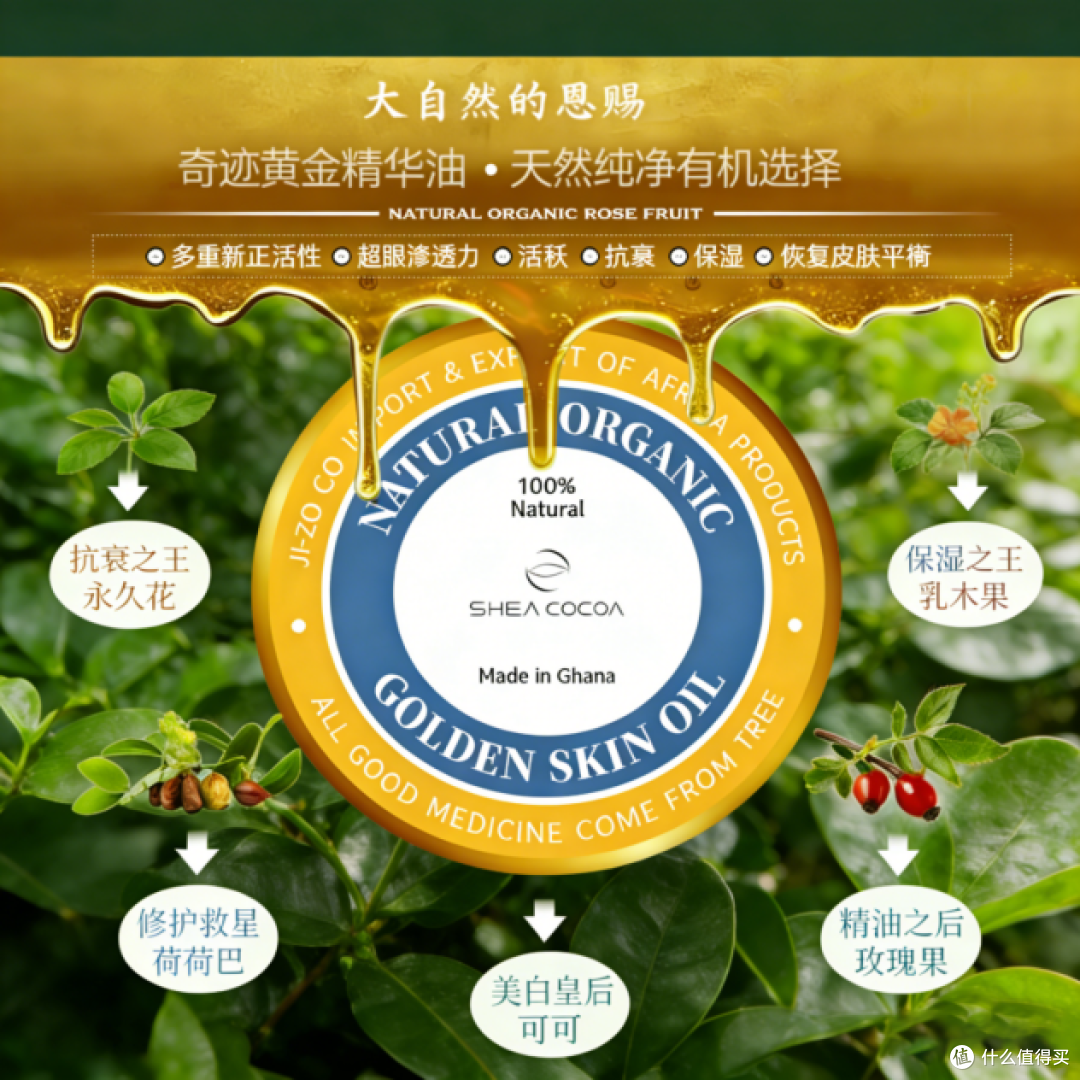 告别外油内干！实测希尔可可黄金油，精简护肤本命好物
