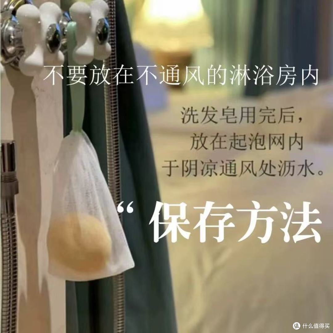 油头掉发天菜!侧柏叶植物洗发饼太绝了✨