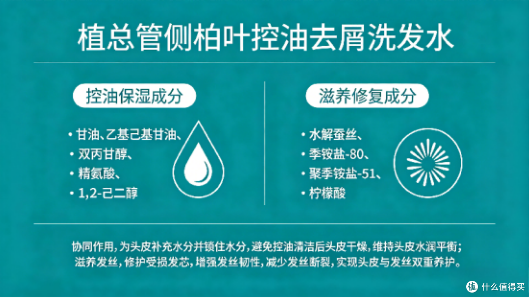 2026 去屑止痒洗发水实测排行榜6款高口碑产品深度测评