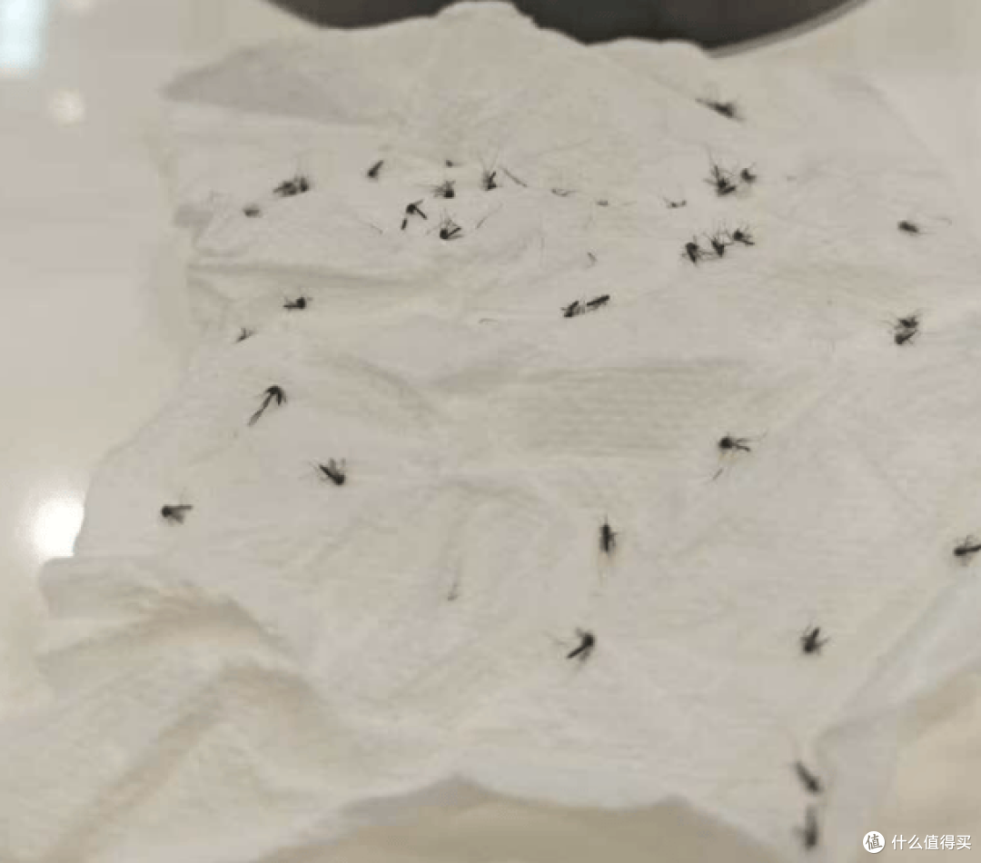 家用灭蚊灯哪种最好?2026年十款热门公认好用的灭蚊器推荐!