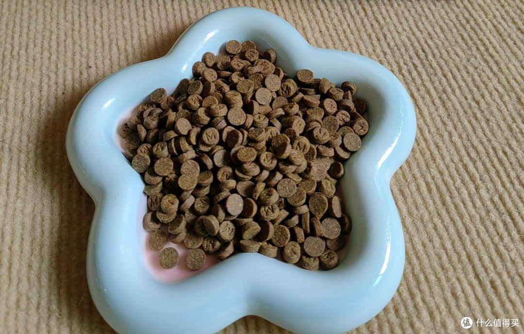 阿拉斯加吃什么狗粮好?618推荐长肉护胃狗粮!