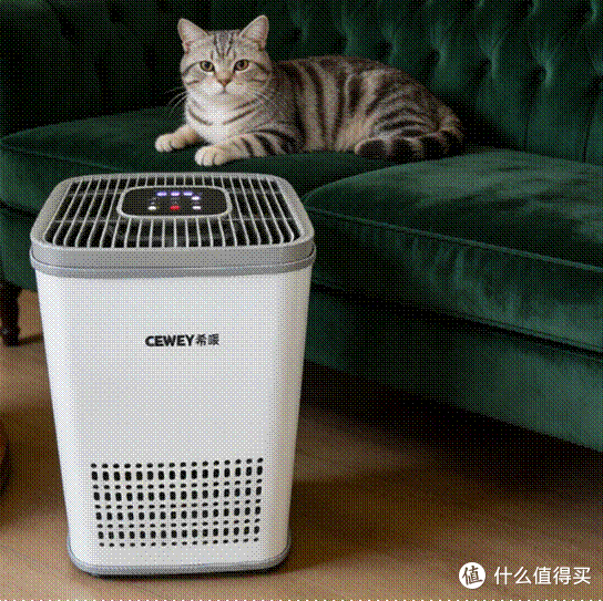 标题: 24 - 说明 24