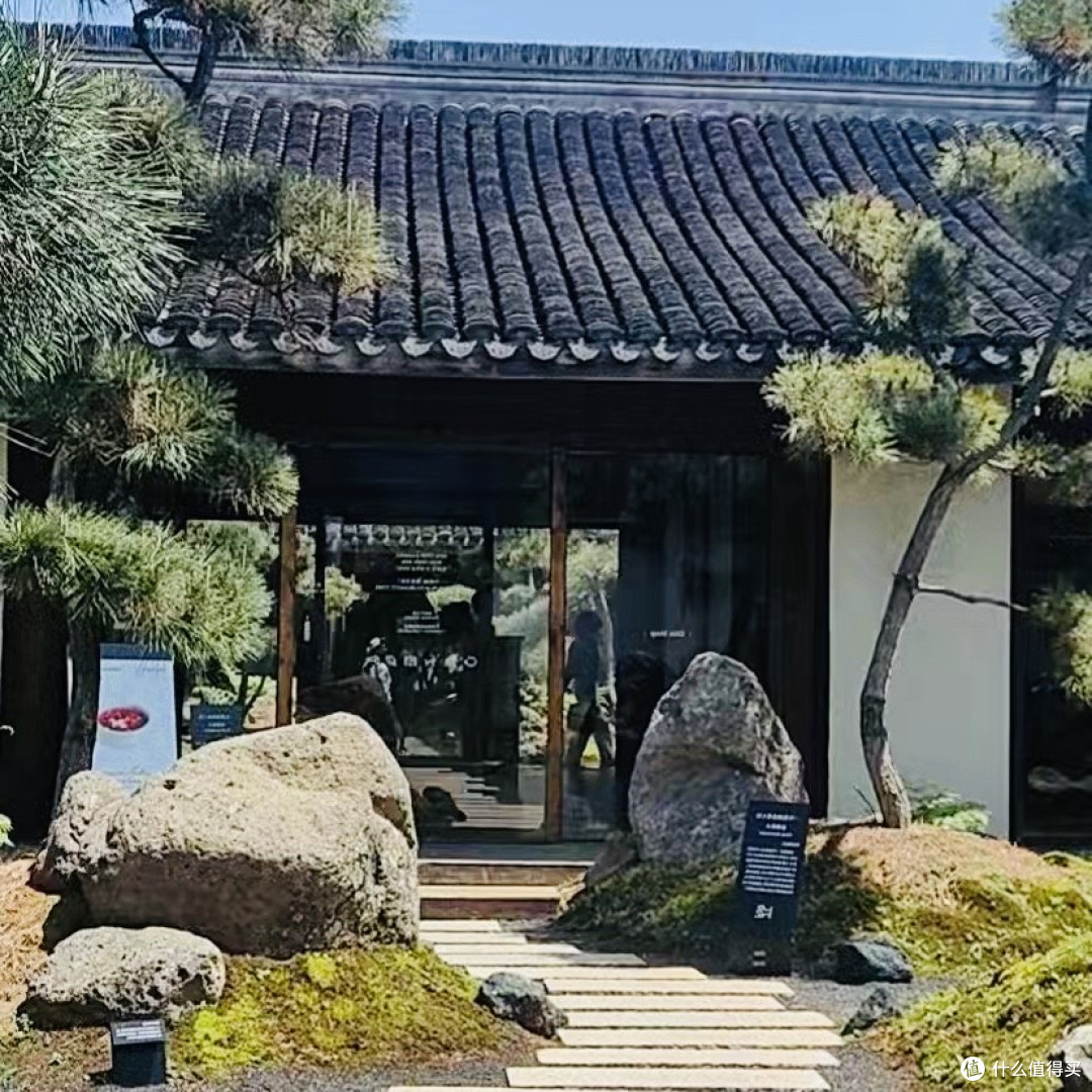 城市寻味｜一尺花园素食工坊真实探店无广～