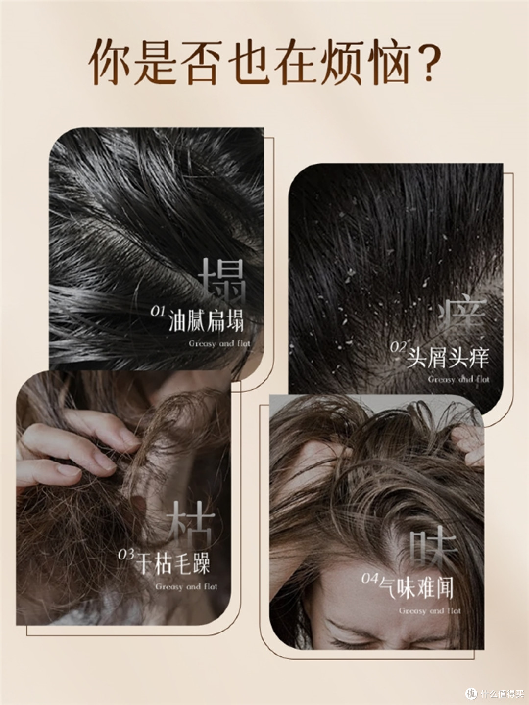 2026年洗发水推荐哪个品牌?这份十大排名告诉你谁才是真香之选