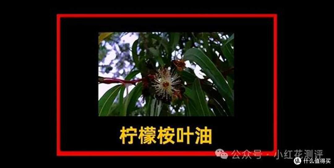 驱蚊喷雾杀不死蚊子!那算啥?推荐三种驱蚊灭蚊产品、拔草两种!