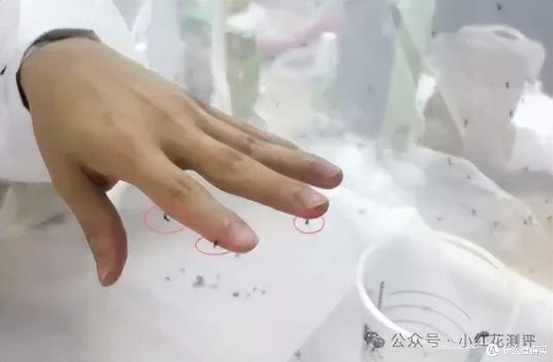 驱蚊喷雾杀不死蚊子!那算啥?推荐三种驱蚊灭蚊产品、拔草两种!