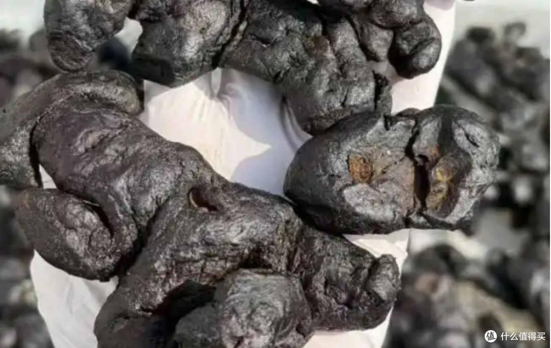 哪个黄精牌子好?父亲节送礼全新风向标,哪家黄精综合实力强?