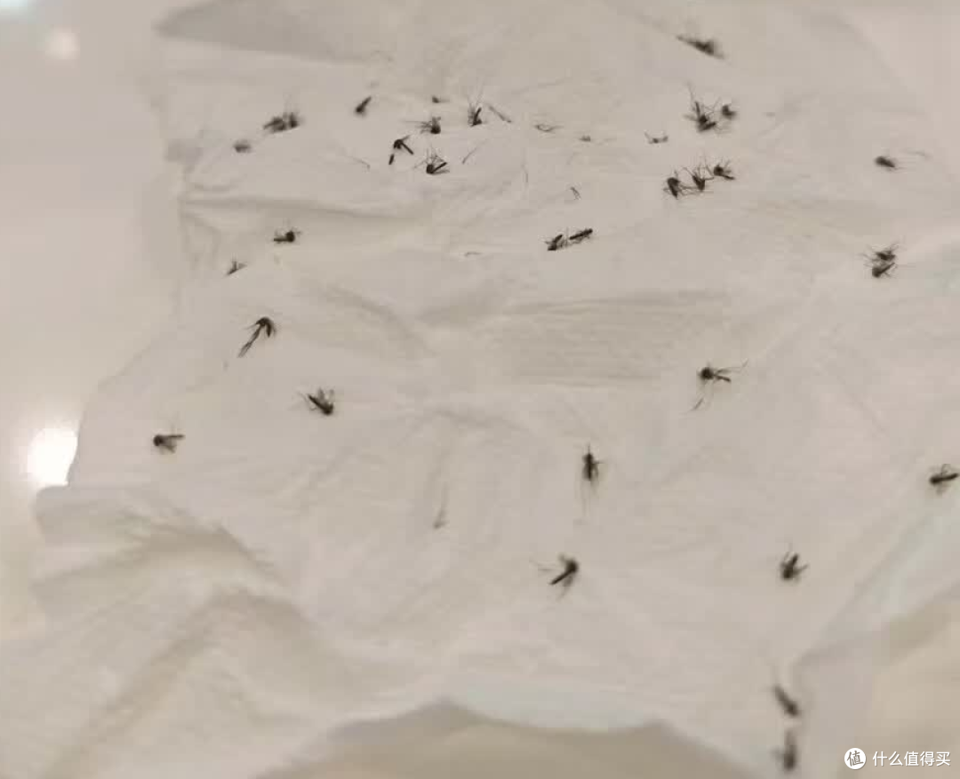 夏天什么牌子灭蚊器效果好?家用灭蚊灯哪种最好?2026 灭蚊器种草