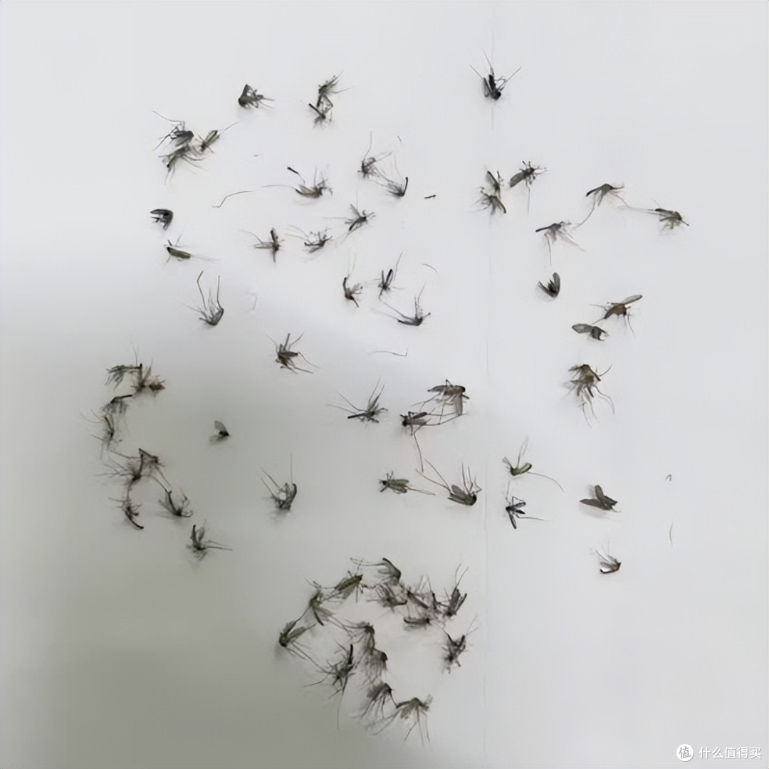 怎么选灭蚊灯?10款夏日灭蚊器精选,居家驱蚊安静又给力