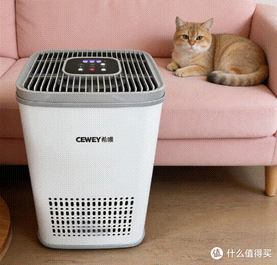 标题: 25 - 说明 25