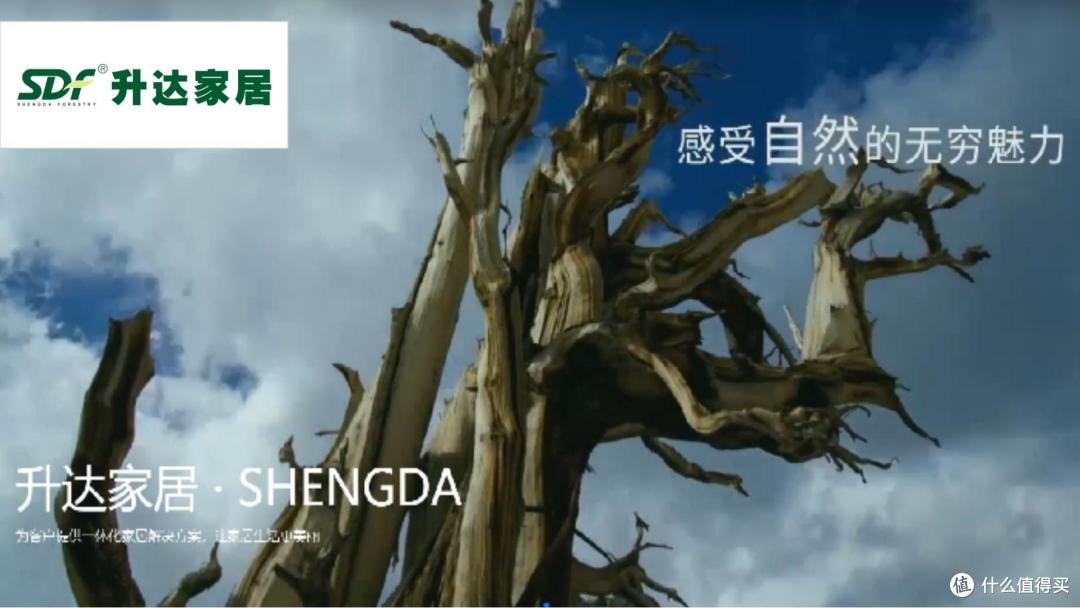 家装指南来了:2026年板材十大口碑品牌榜,为家保驾护航