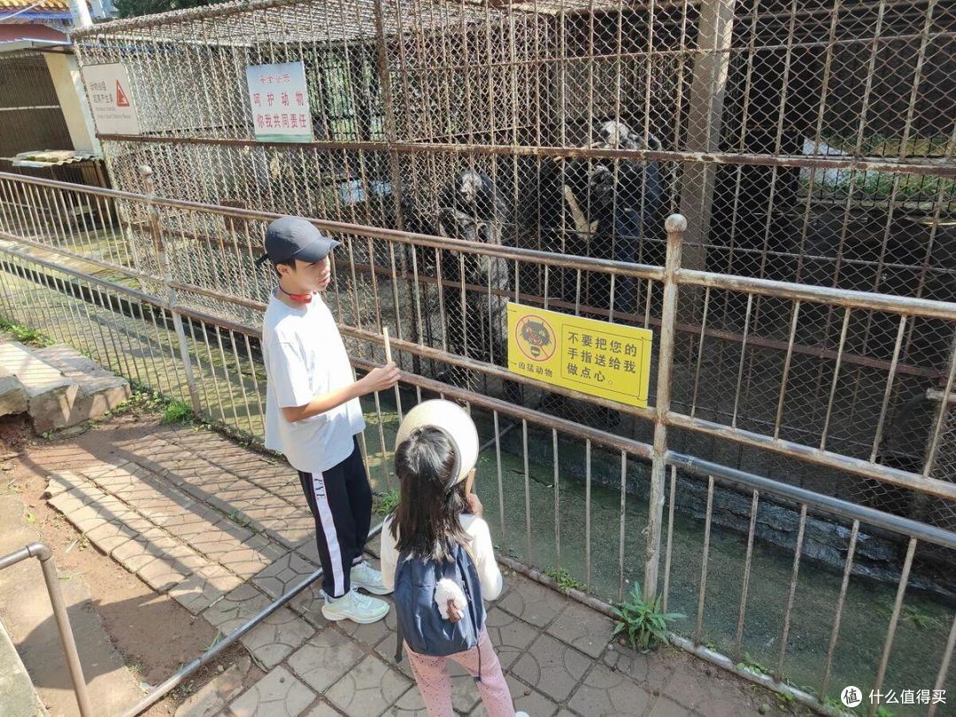 不到万元，5人一车夏天半月游云贵桂省钱游记-
4楚雄超炫喂动物