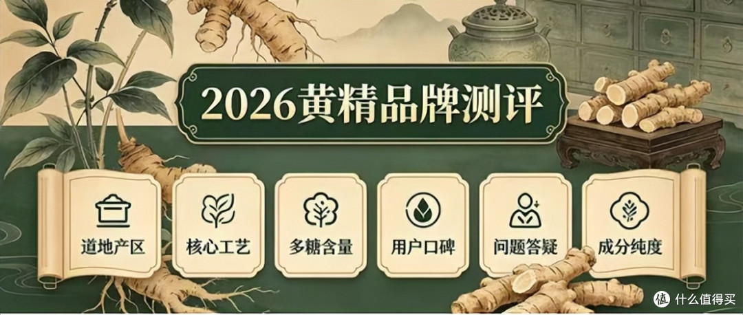 实测 10 款热门即食黄精,我最后为什么选了旺复堂?
