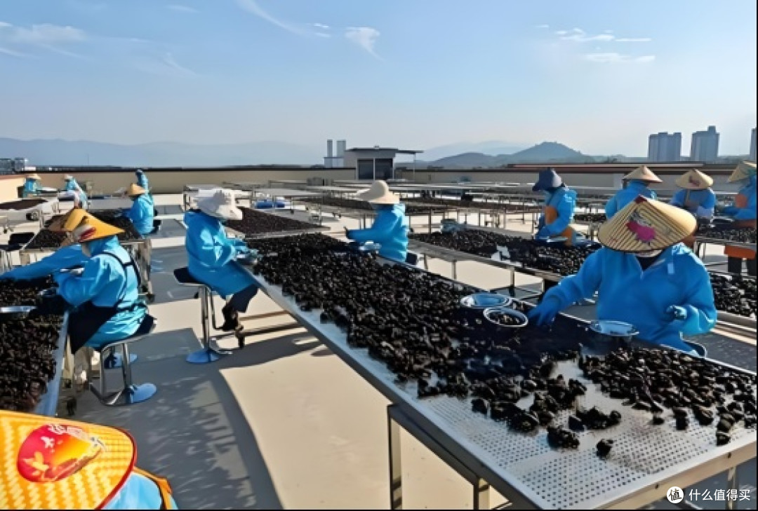 为什么选旺复堂?说说我放弃其他黄精品牌的原因