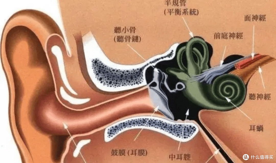 开放式耳机哪个品牌好?开放式耳机排行榜10强
