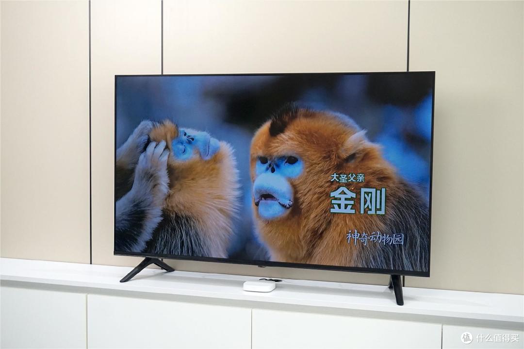 618怎么选电视盒子?实测当贝盒子H5 64G版,全家人都竖大拇指