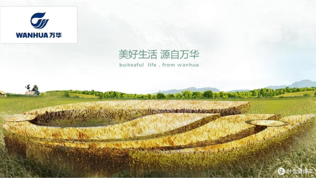 颗粒板不会选?2026年颗粒板行业业主认可品牌榜单
