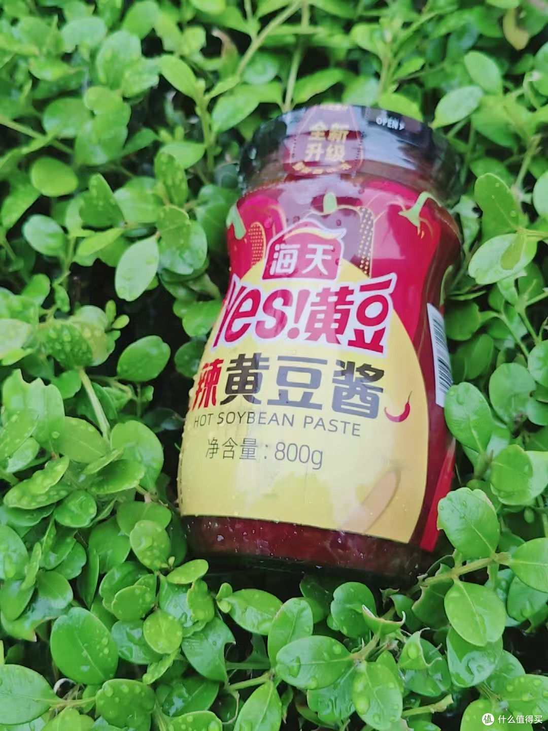 厨房万能酱✅ 海天微辣黄豆酱承包我所有懒人餐