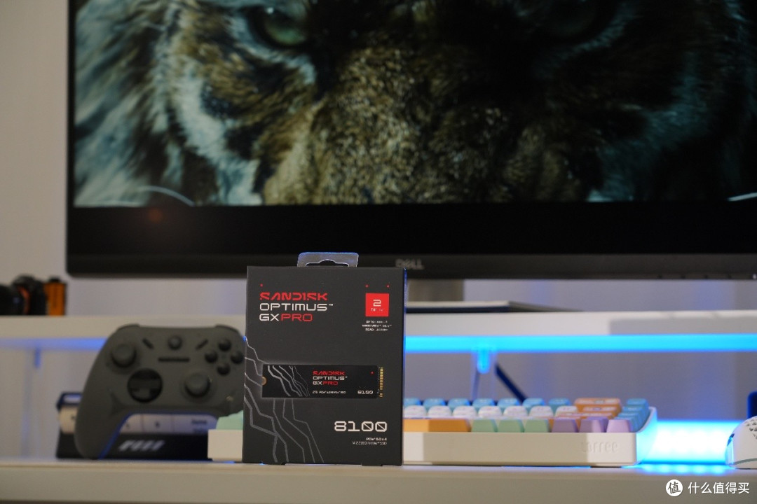 换肤登场 传承经典!SANDISK Optimus GX PRO 8100 NVMe SSD评测