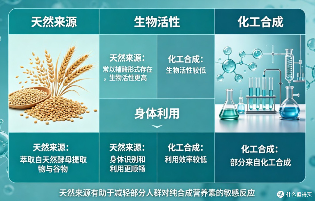 2026网购真相:网上买维生素B族哪个牌子靠谱?五大实测榜单发布