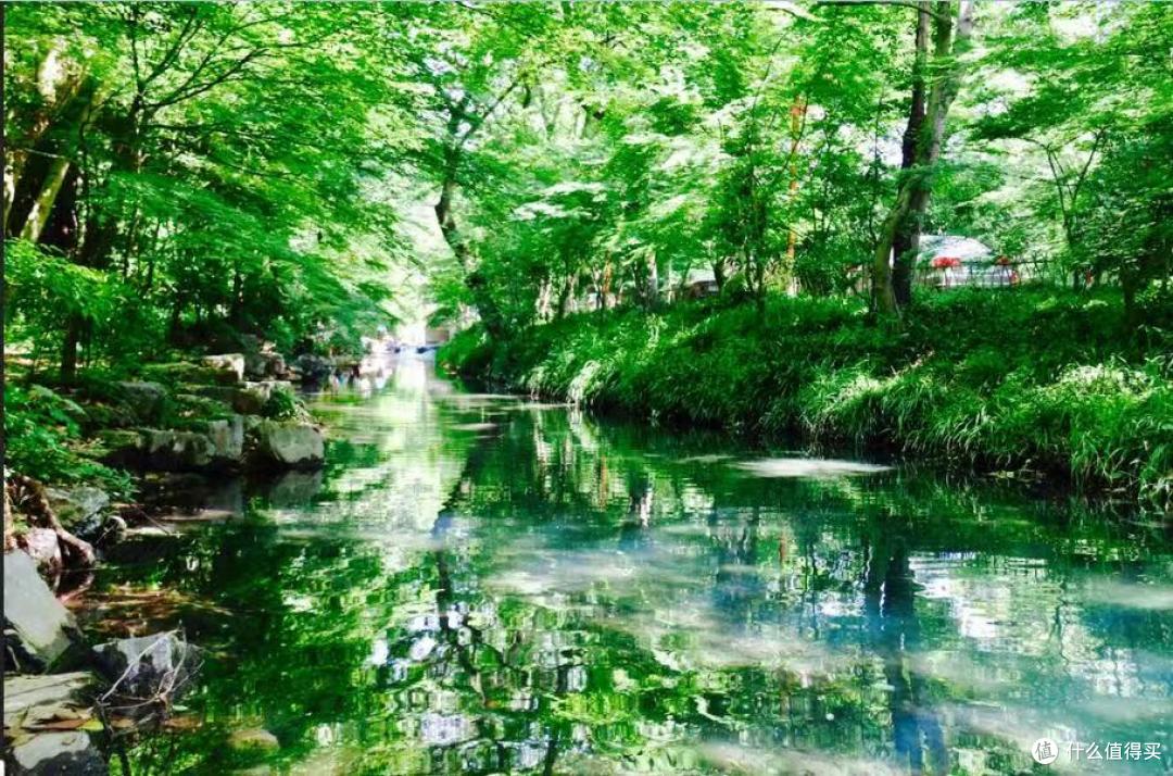 杭州长租短住住宿怎么选?月租商旅公寓避坑高性价比指南