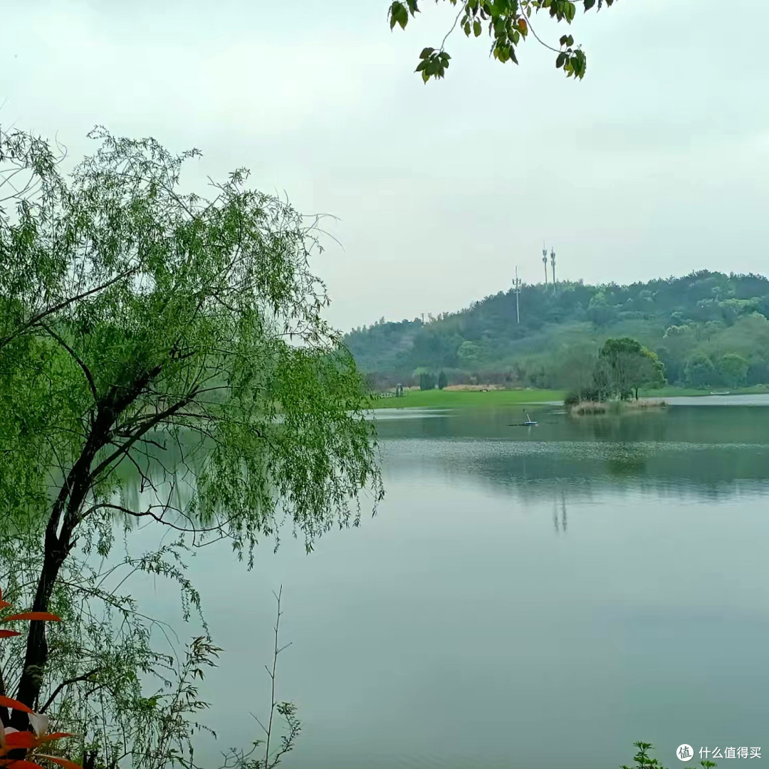 湖州龙山湖,是把“城市秘境”这四个字焊死在现实里的地方!