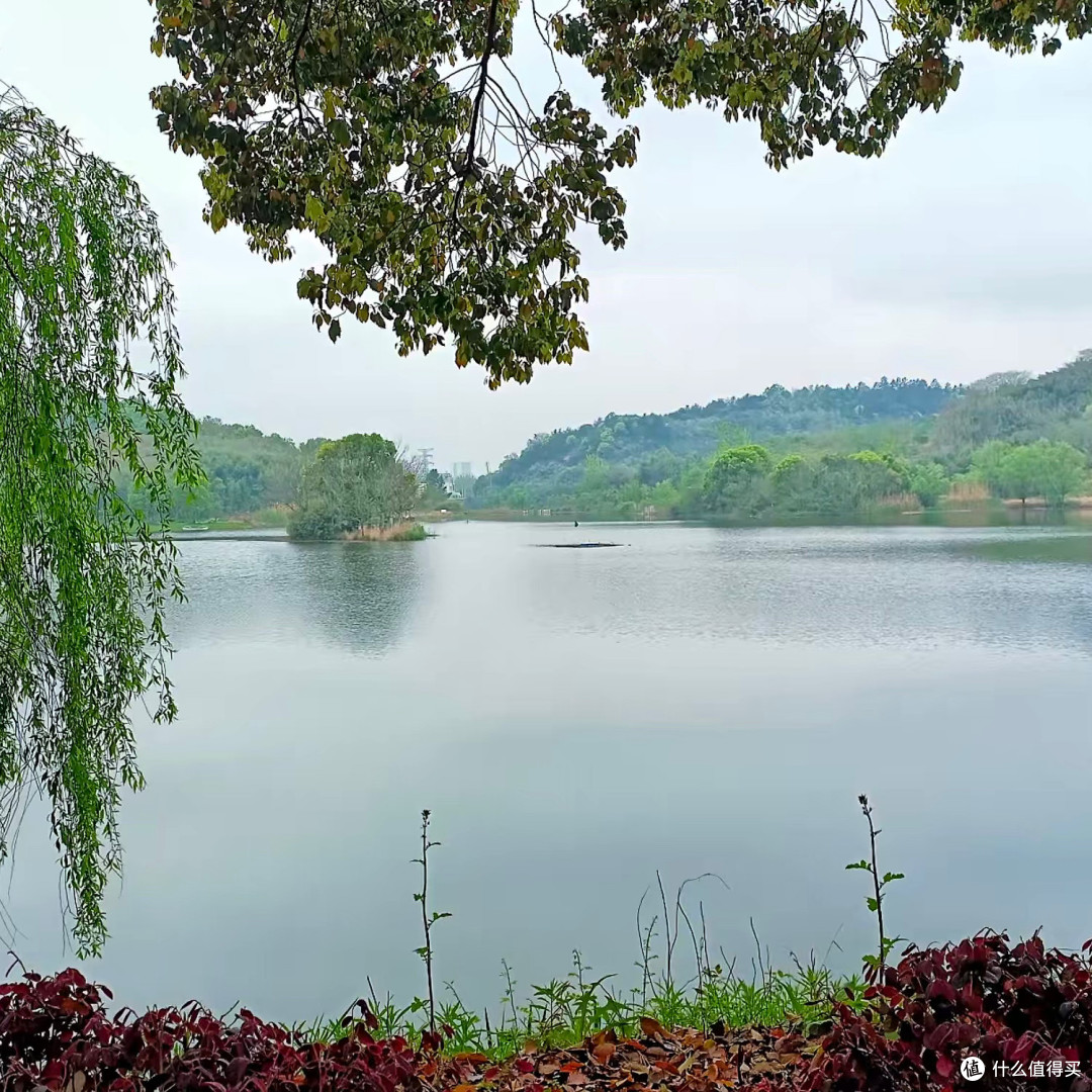 湖州龙山湖,是把“城市秘境”这四个字焊死在现实里的地方!