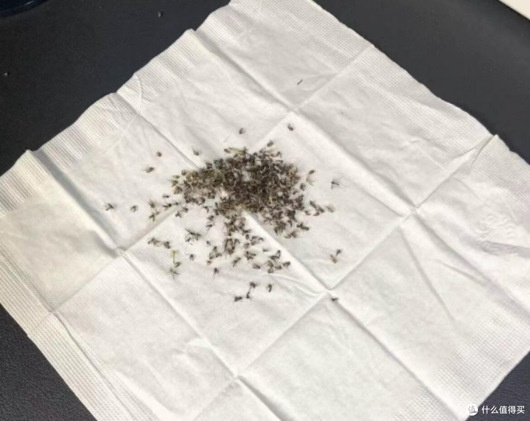哪个牌子灭蚊灯好?2026灭蚊神器品牌排行榜前十,居家驱蚊准没错