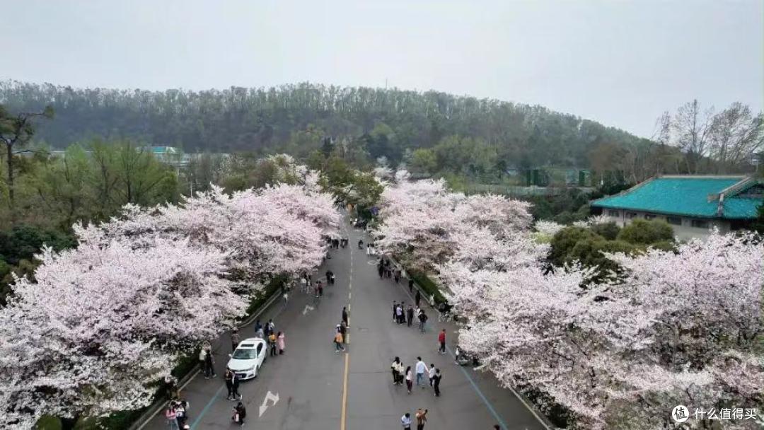 武汉长租住宿实测|月租避坑!真实数据对比告别租房套路