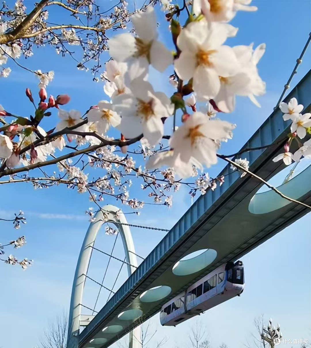 武汉长租住宿实测|月租避坑!真实数据对比告别租房套路
