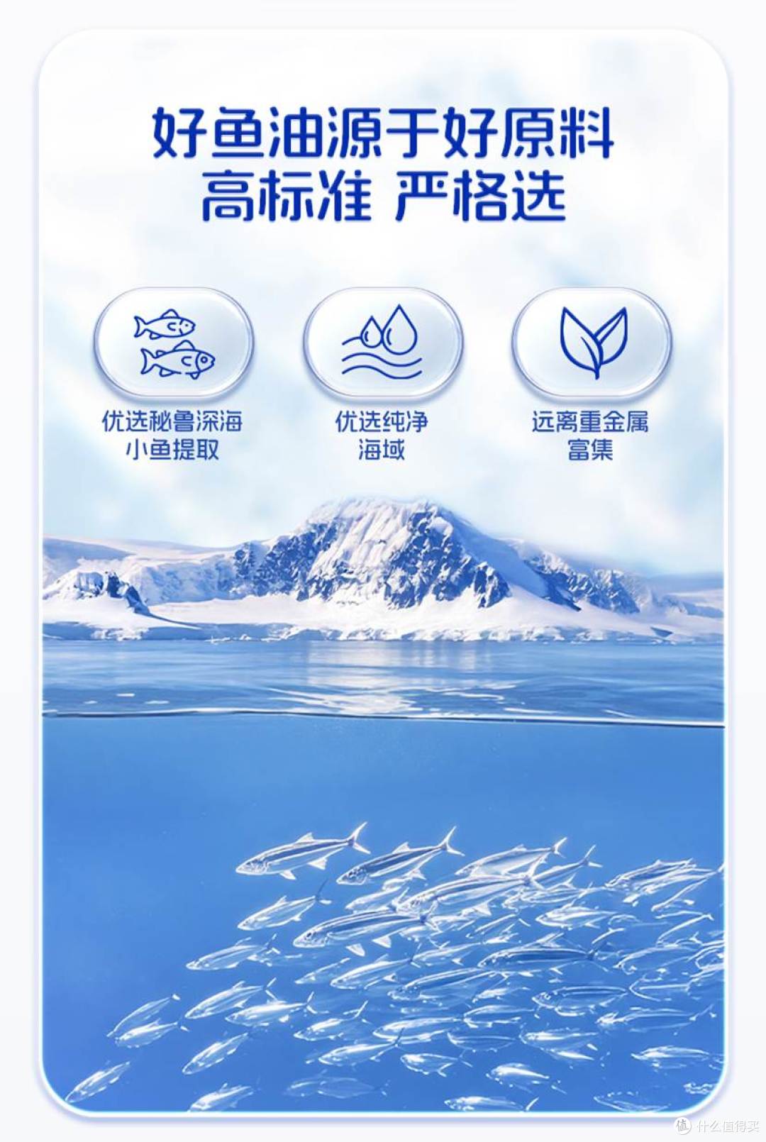 详情_10