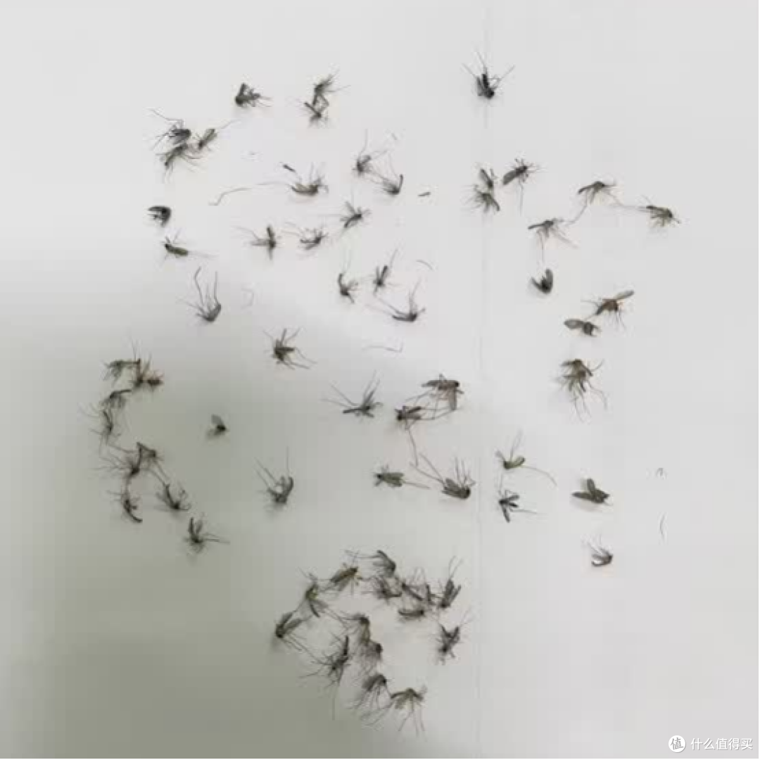 卧室灭蚊灯哪个牌子效果好用?2026家用灭蚊灯品牌十大排行榜出炉