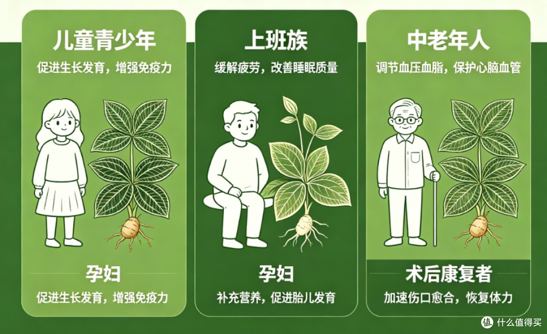 2026金线莲什么品种最好?品种图鉴解析野生驯化与组培风味实测