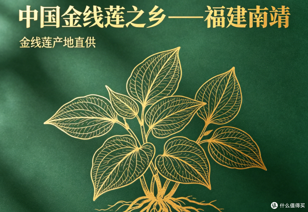 2026金 线 莲哪个牌子好?天然金线莲选购清单,多款品牌实测