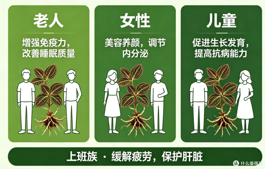 2026金 线 莲哪个牌子好?天然金线莲选购清单,多款品牌实测