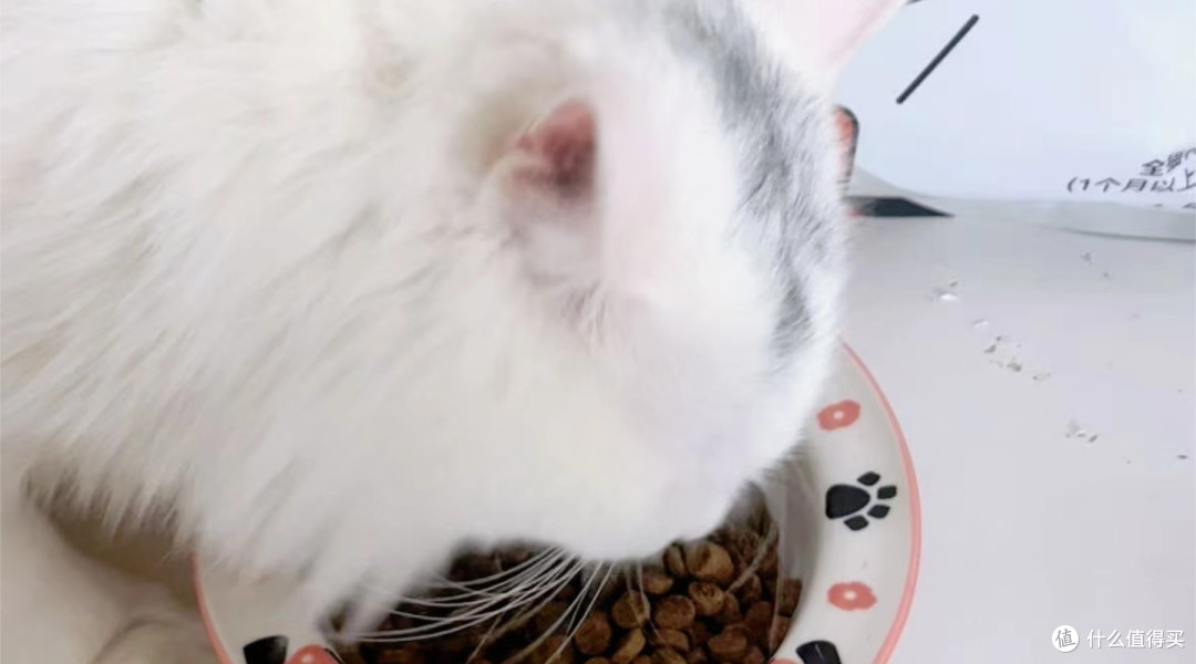 什么品牌猫粮好护肠胃?猫粮品牌排行618囤粮省钱就选希喂
