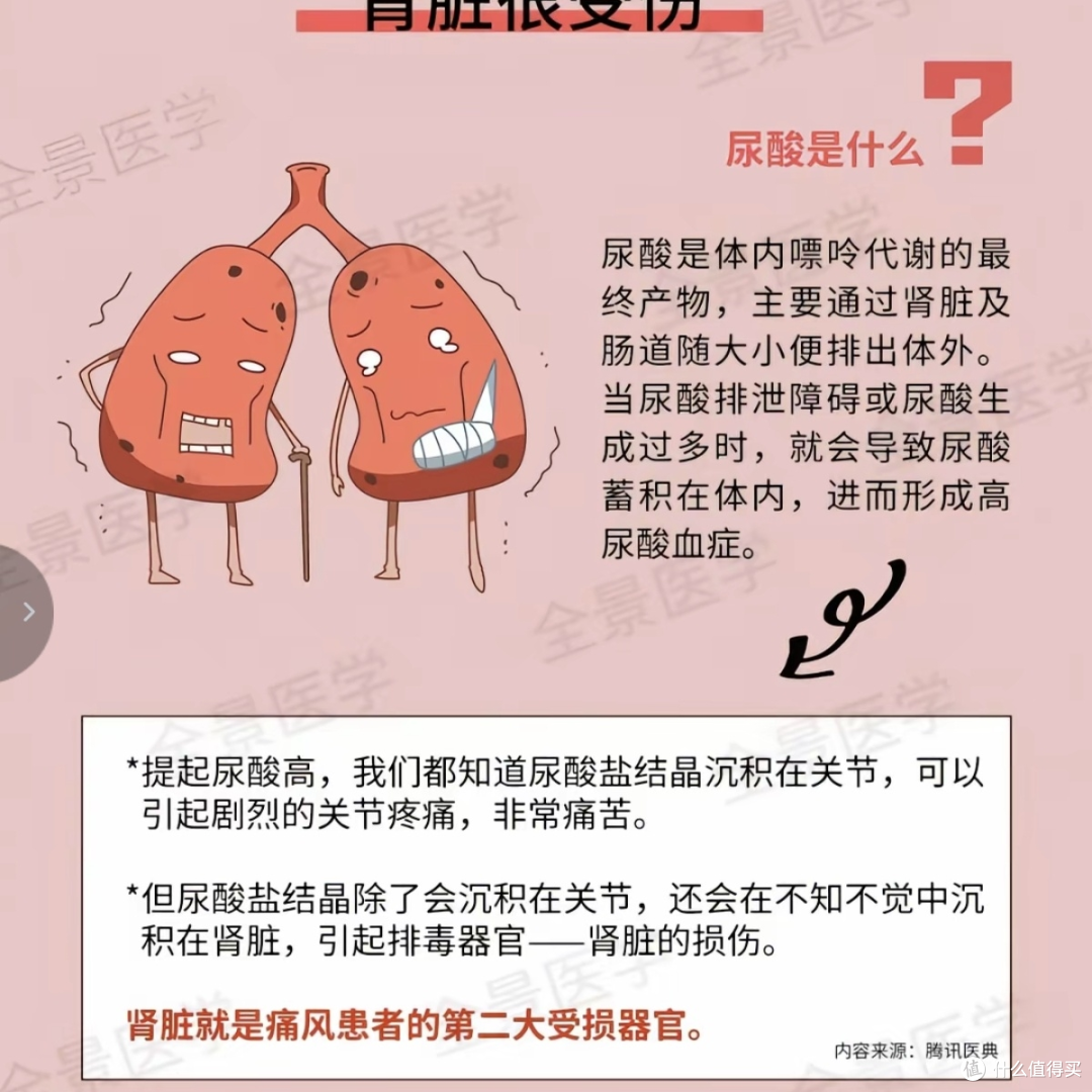 2026年降尿酸产品排行榜前十名有哪些啊 权威中立选购榜单