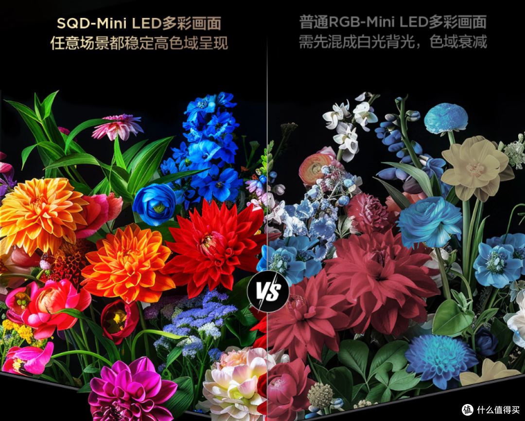 预算3000-6000元,65寸Mini LED电视怎么选?附高性价比型号推荐