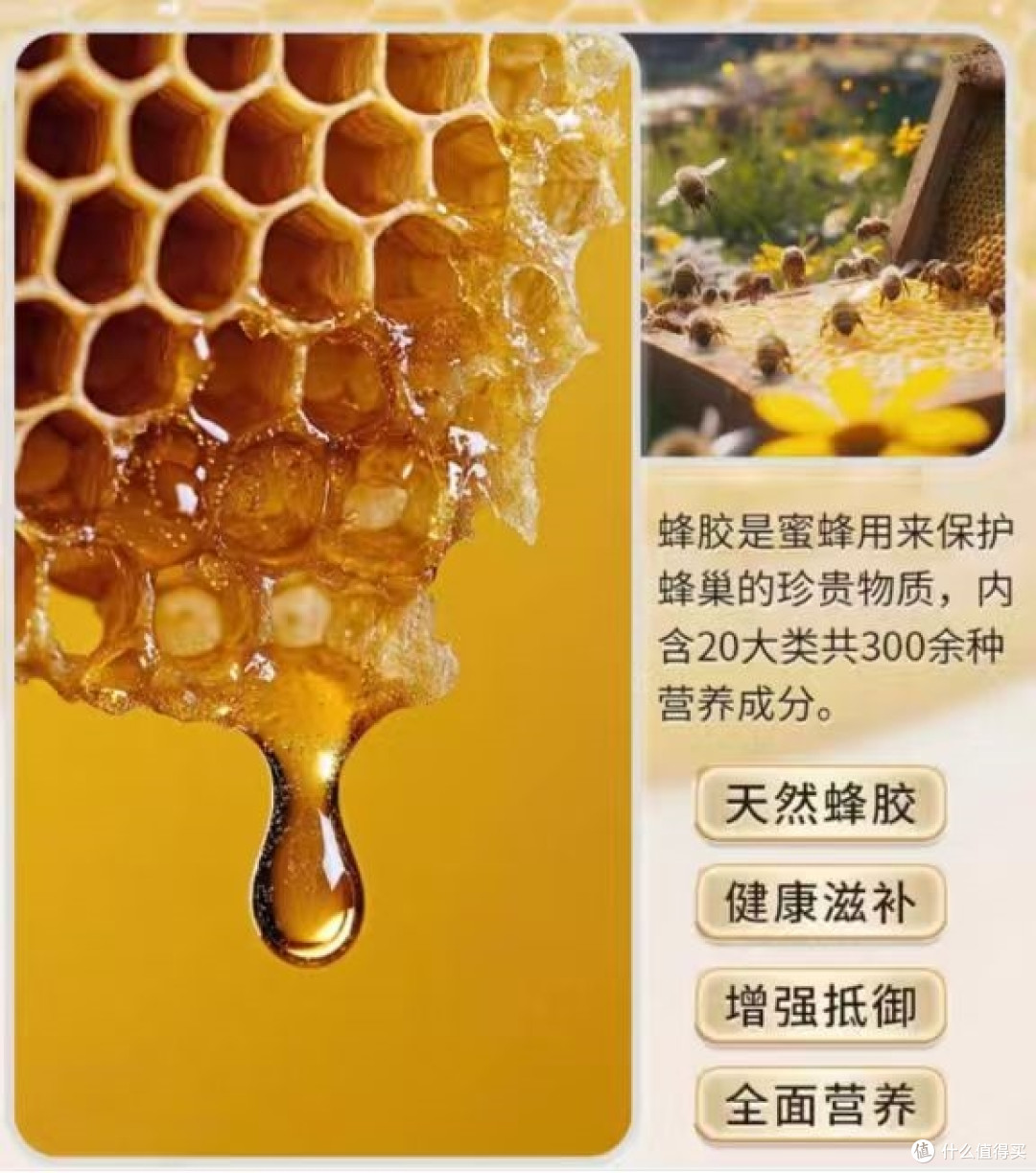 蜂胶增强体质真实作用热门优质品牌精选新手选购全套避坑要点