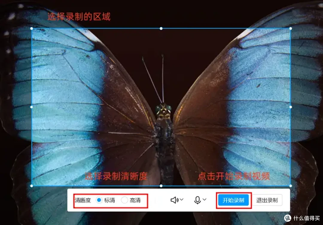 如何在电脑上录屏?7款录制软件,2026年热门软件一网打尽