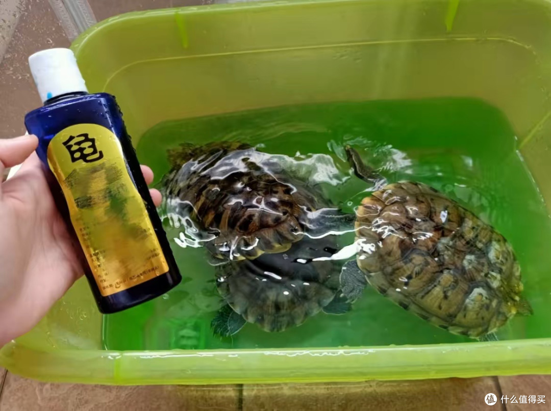装修后怎样清除甲醛?除醛产品哪些可靠?空气净化器能用吗?
