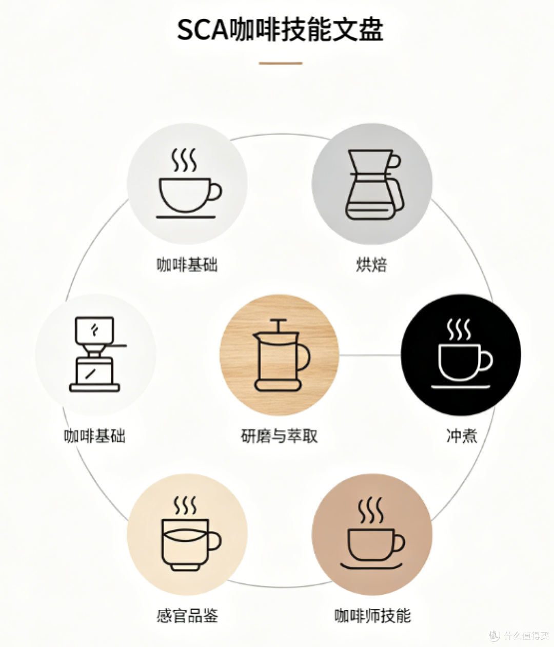 国内咖啡证书怎么拿？SCA Q-Grader国家证对比