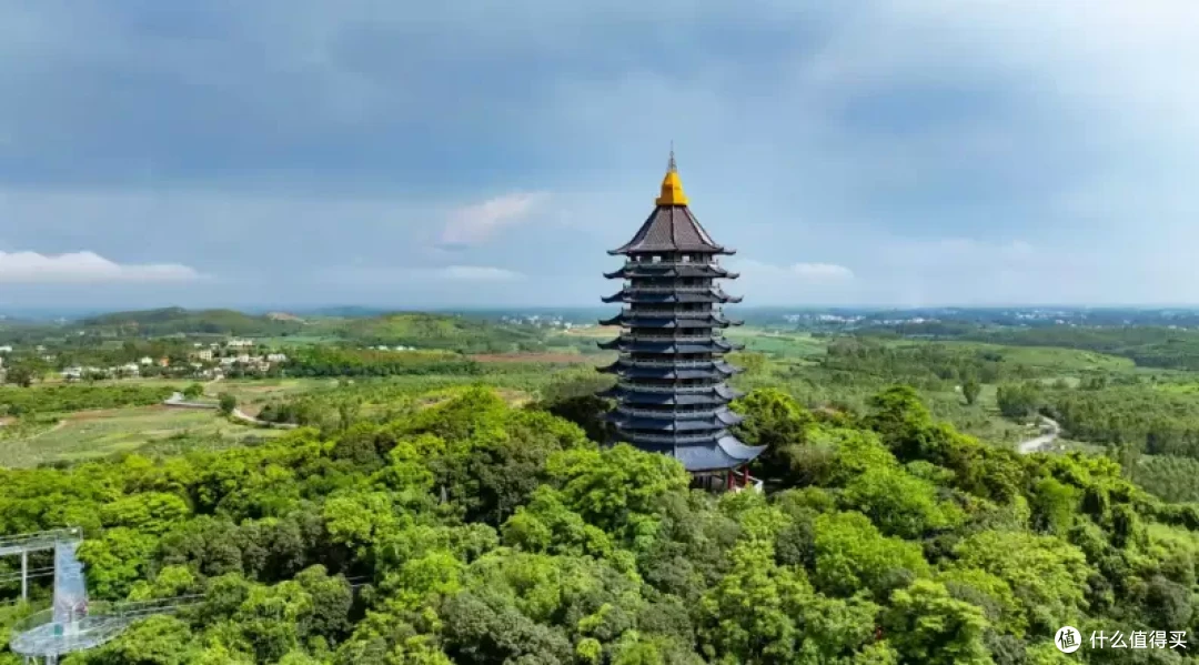 廉江荔枝出口20周年：签约超3亿元 全国每5颗出口荔枝有1颗姓“廉”(图2)