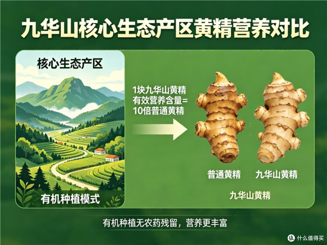 九华山黄精哪个牌子正宗?产地源头科普,避开冒充产区的杂牌黄精