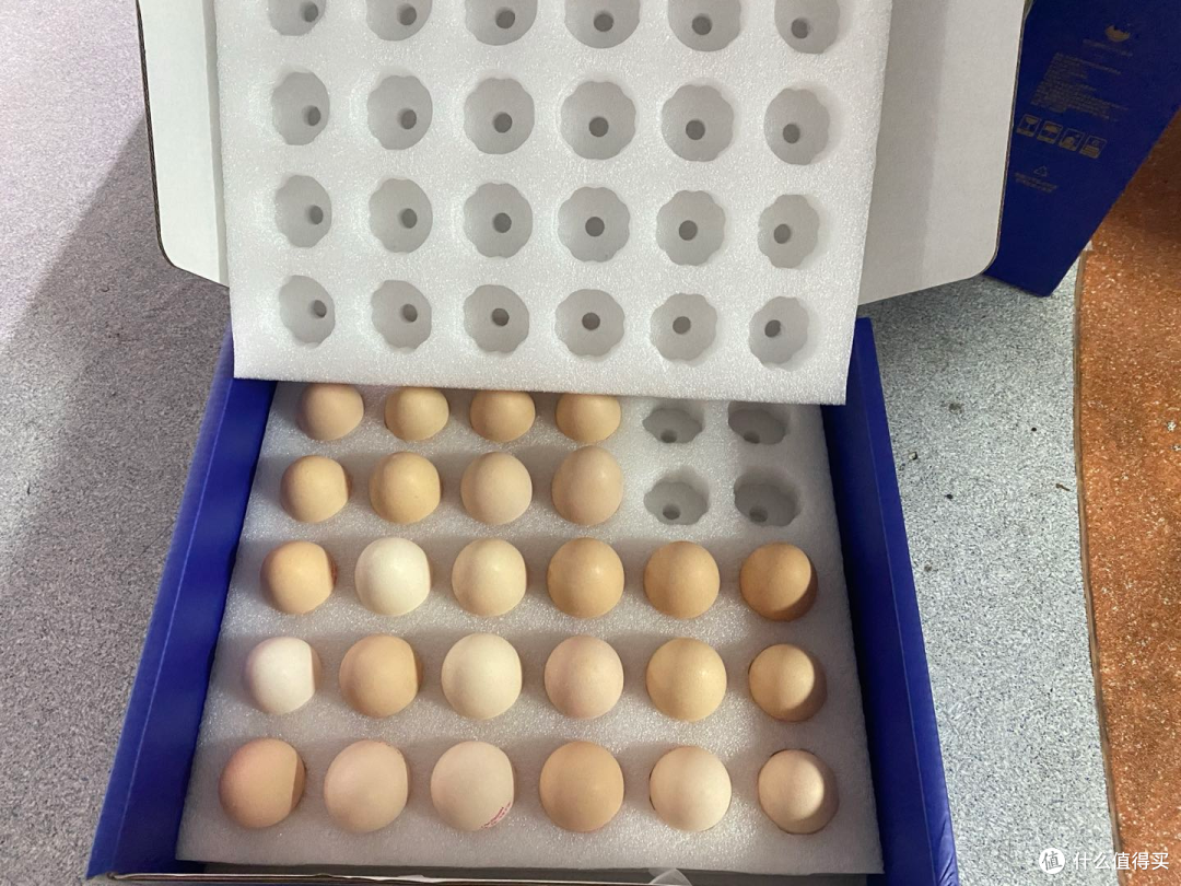 给孩子选辅食鸡蛋？彩虹星球自有基地溯源鸡蛋更安心