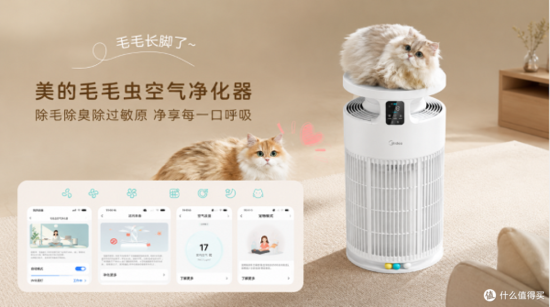 图片 5.png